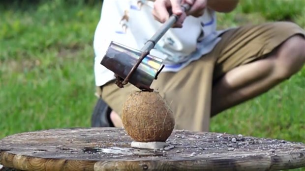 Erimiş tuz meyvelere dökülürse ne olur? 26