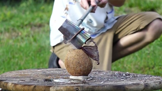 Erimiş tuz meyvelere dökülürse ne olur? 27