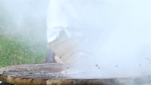 Erimiş tuz meyvelere dökülürse ne olur? 29