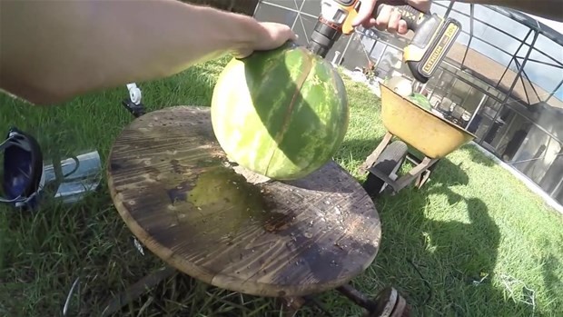 Erimiş tuz meyvelere dökülürse ne olur? 31