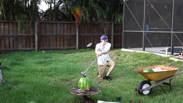 Erimiş tuz meyvelere dökülürse ne olur? 37