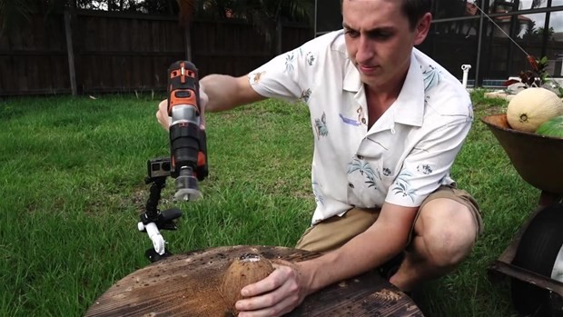 Erimiş tuz meyvelere dökülürse ne olur? 4