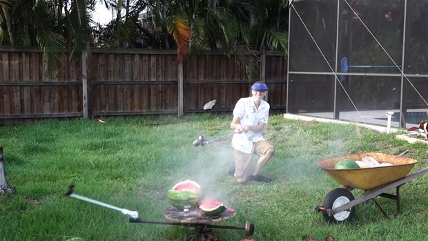 Erimiş tuz meyvelere dökülürse ne olur? 38