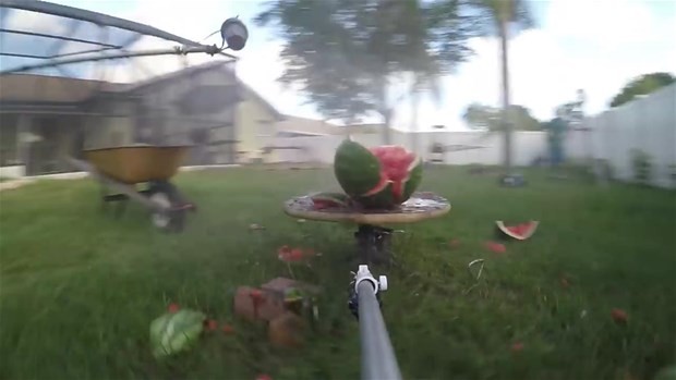 Erimiş tuz meyvelere dökülürse ne olur? 43