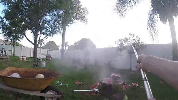 Erimiş tuz meyvelere dökülürse ne olur? 46