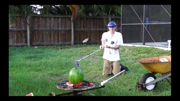 Erimiş tuz meyvelere dökülürse ne olur? 47