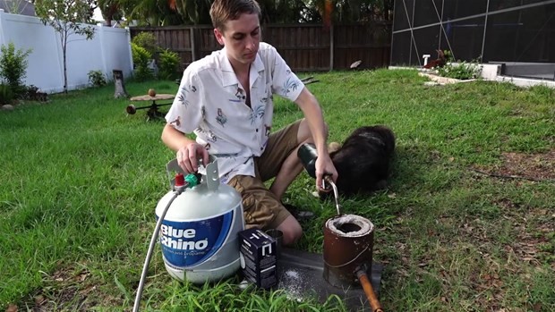 Erimiş tuz meyvelere dökülürse ne olur? 7