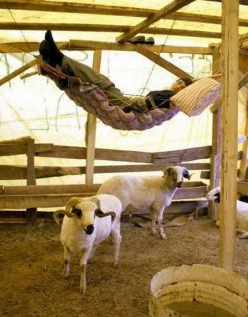 Yurdumdan insan manzaraları 75