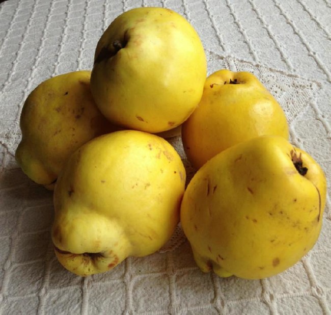 Peygamberimizin en sevdiği yiyecek ve içecekler 49