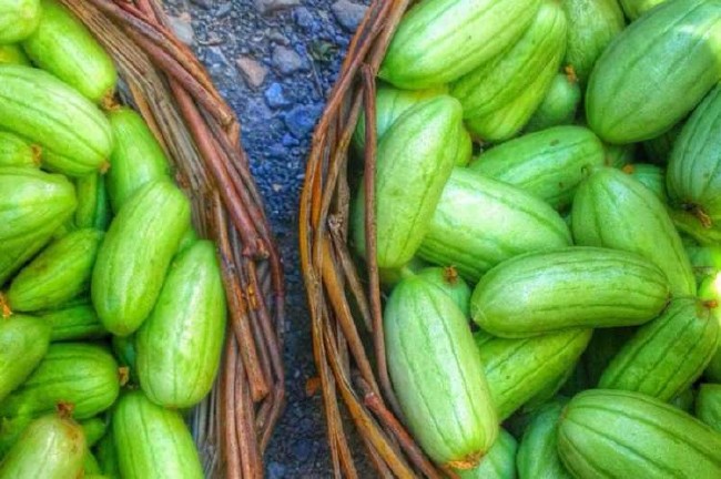 Peygamberimizin en sevdiği yiyecek ve içecekler 52