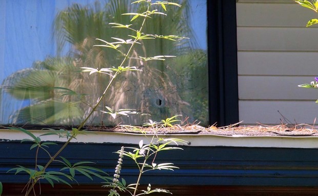 Görgü tanıkları Marmaris baskınını anlattı 3