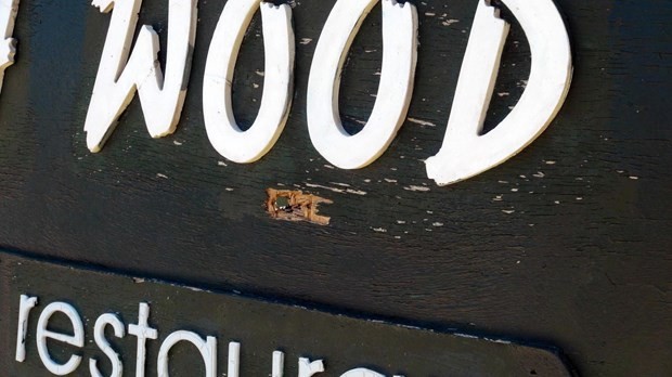 Görgü tanıkları Marmaris baskınını anlattı 6