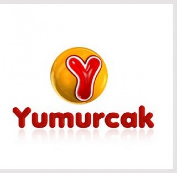 FETÖ'nün hangi yayın organlarının lisansı iptal edildi 3