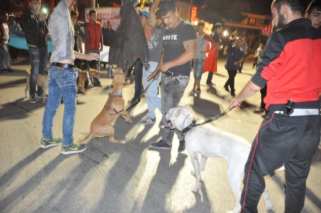 Köpeklere Fethullah Gülen maketini parçalattırdılar 2