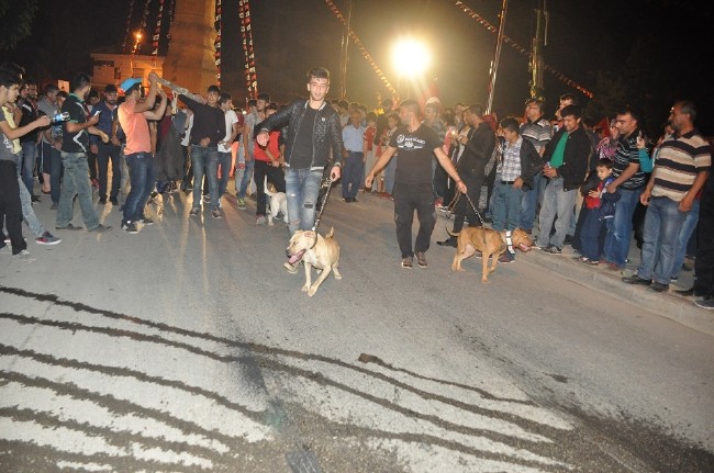 Köpeklere Fethullah Gülen maketini parçalattırdılar 4