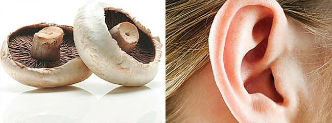 Faydası şeklinden bile anlaşılıyor 12