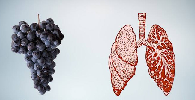 Faydası şeklinden bile anlaşılıyor 10