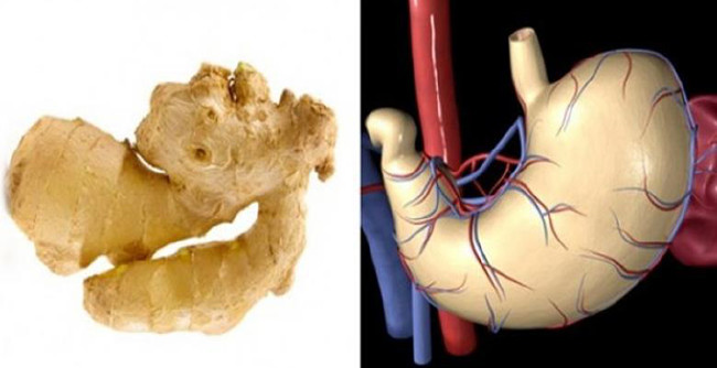 Faydası şeklinden bile anlaşılıyor 11