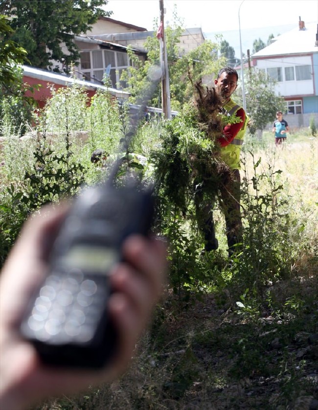 FETÖ'nün kız yurdundan Hint Keneviri çıktı 15