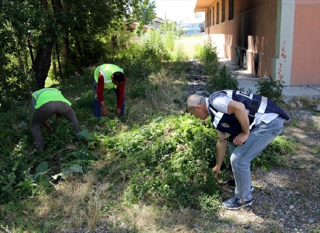 FETÖ'nün kız yurdundan Hint Keneviri çıktı 16