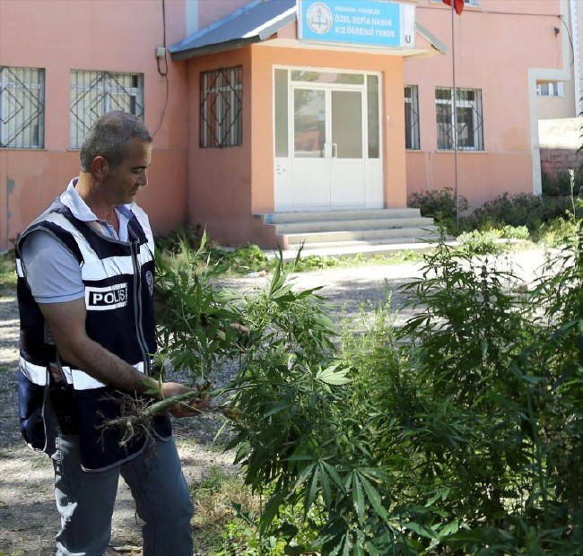 FETÖ'nün kız yurdundan Hint Keneviri çıktı 9