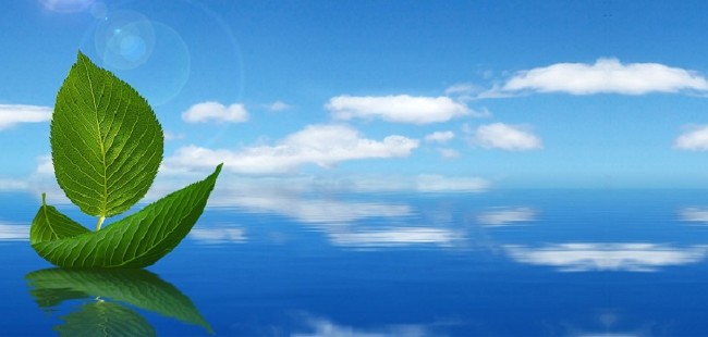 Hepimizi bekleyen korkutucu gelecek 1