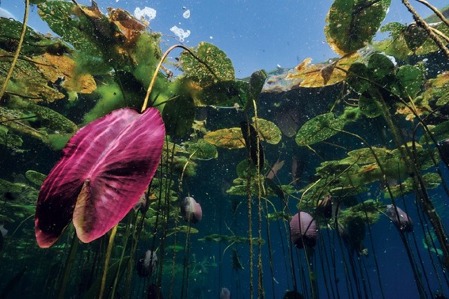 Hepimizi bekleyen korkutucu gelecek 4