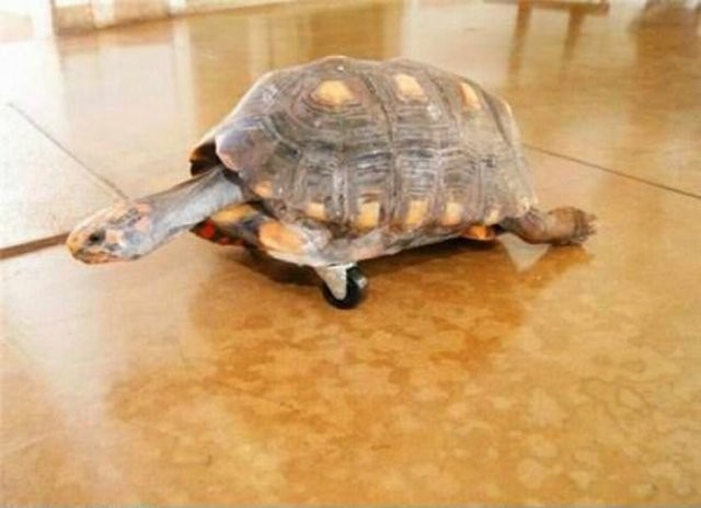 Birbirinden ilginç Türk icatları 79