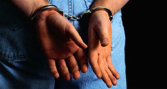 Hainler koğuşu 101