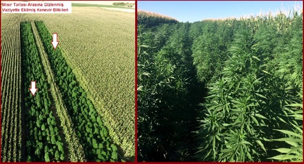 Diyarbakır’da uyuşturucu operasyonu 1