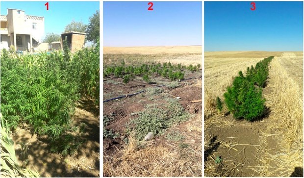 Diyarbakır’da uyuşturucu operasyonu 11