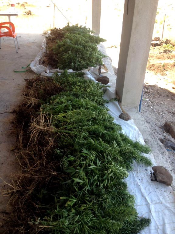 Diyarbakır’da uyuşturucu operasyonu 14