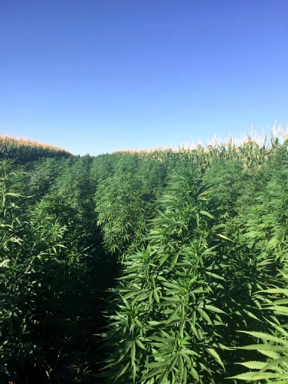 Diyarbakır’da uyuşturucu operasyonu 15