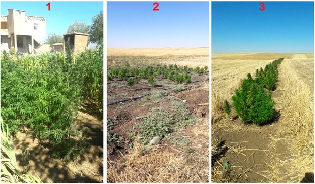 Diyarbakır’da uyuşturucu operasyonu 2