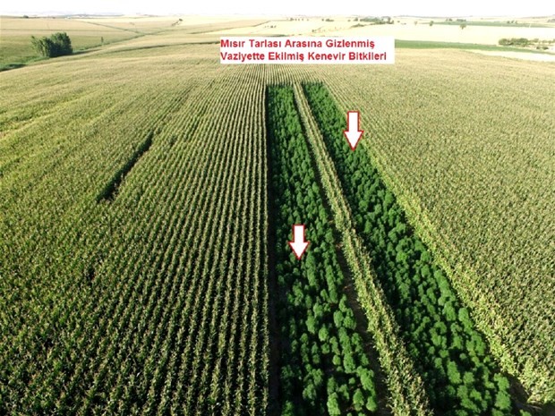 Diyarbakır’da uyuşturucu operasyonu 3