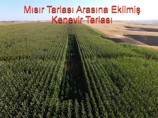 Diyarbakır’da uyuşturucu operasyonu 4