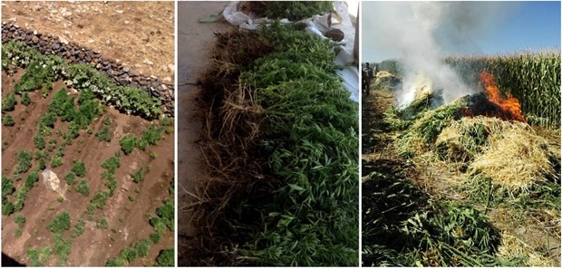 Diyarbakır’da uyuşturucu operasyonu 5