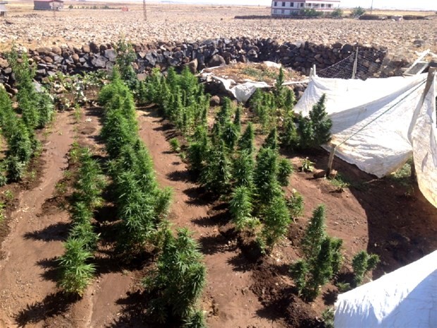 Diyarbakır’da uyuşturucu operasyonu 7