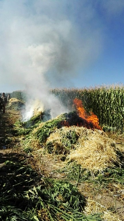 Diyarbakır’da uyuşturucu operasyonu 9