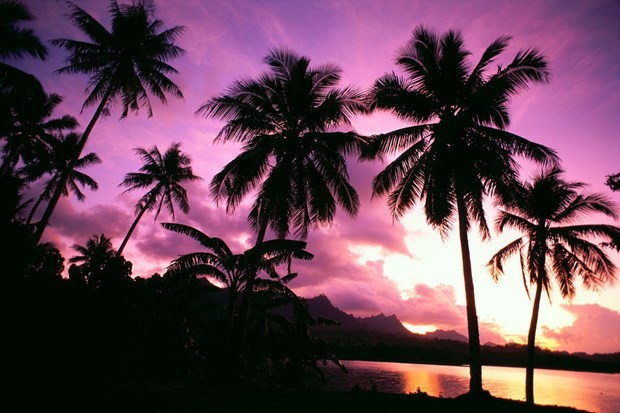 100 liraya ada kazandı 11