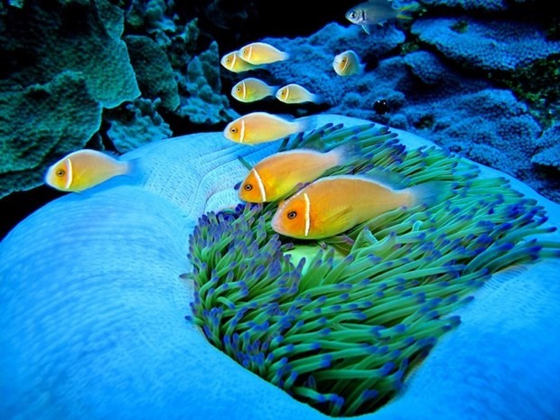 100 liraya ada kazandı 16