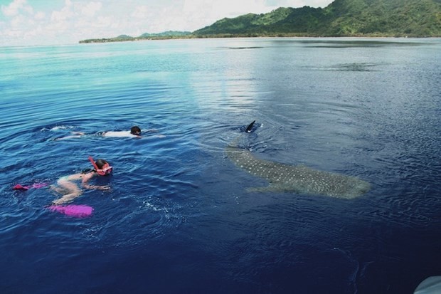 100 liraya ada kazandı 19