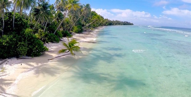 100 liraya ada kazandı 20