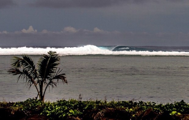 100 liraya ada kazandı 8