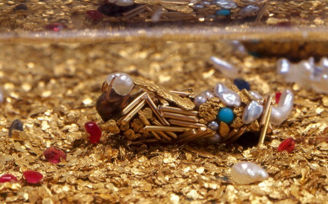 Hayvanlar aleminin en iyi mimarları 18