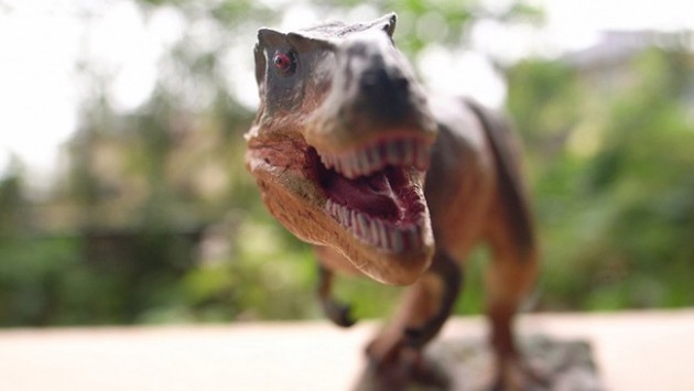 80 milyon yıllık dinozor ayak izi bulundu 13