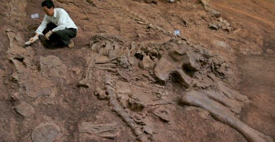 80 milyon yıllık dinozor ayak izi bulundu 15