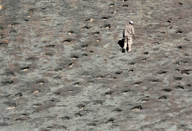 80 milyon yıllık dinozor ayak izi bulundu 4