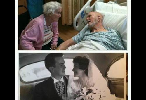 'İnsanlık ölmedi' dedirten fotoğraflar 26