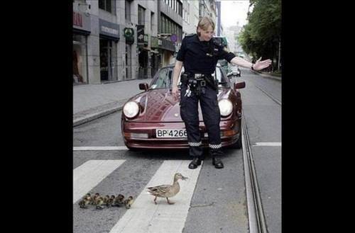 'İnsanlık ölmedi' dedirten fotoğraflar 39